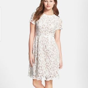 Adrianna Pappell  Silk combo scalloped Lace Dress